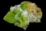 Vibrant Green Pyromorphite Crystal Cluster - China #177179-1